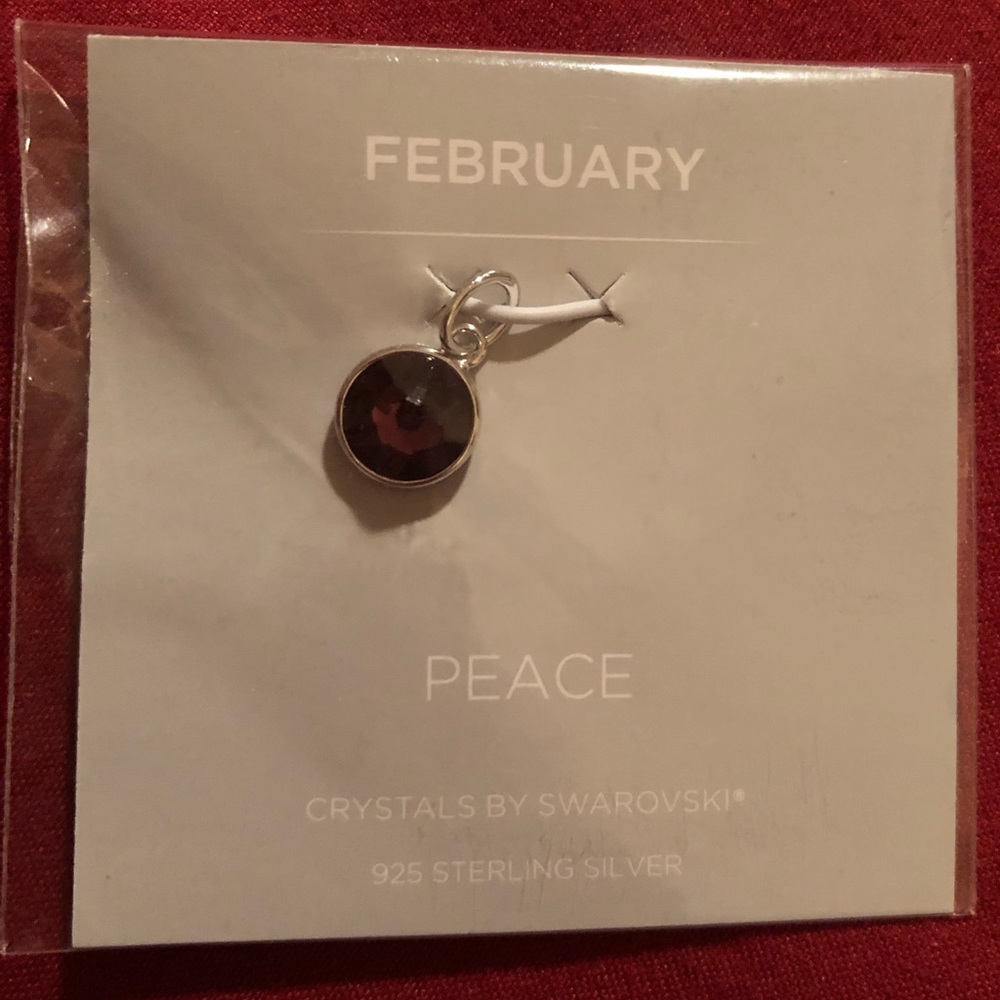 Origami Owl Core charm - February/peace/amethyst